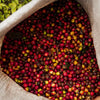 Espresso Blend