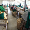 Papua New Guinea Bunum Wo Peaberry