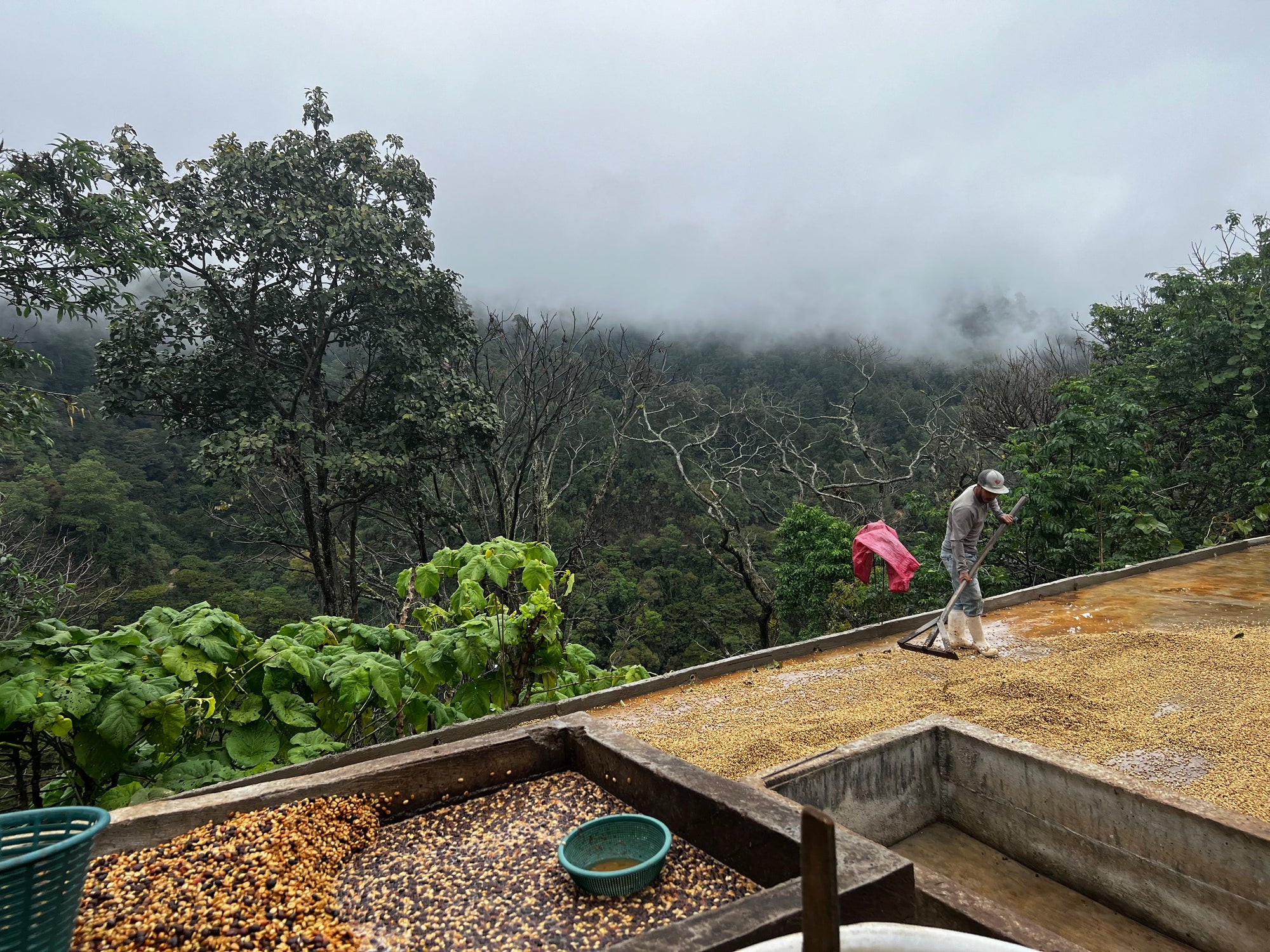 Mexico Sierra Azul 12oz Wholesale